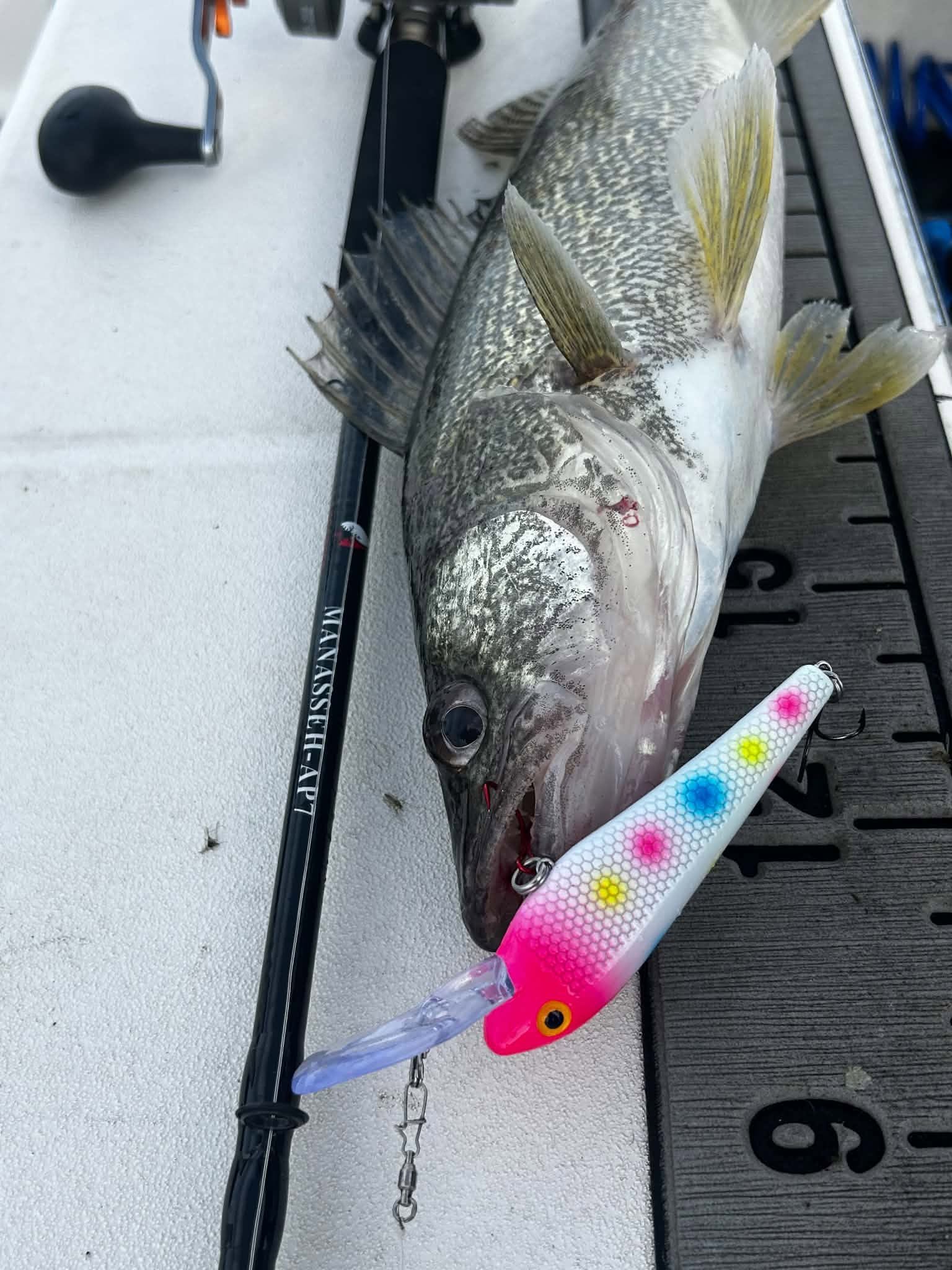 Ice Strong Outdoors - Manasseh - AP7 Trolling Rod - Downrigger/Walleye/Small Planer